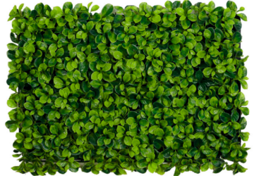 Affordable Greenwall Garden Fake Grass