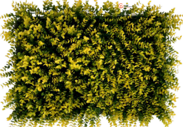 Affordable Greenwall Garden Fake Grass