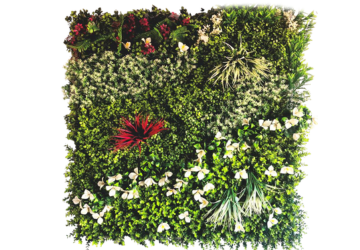 Affordable Exclusive Greenwall Garden Fake Grass