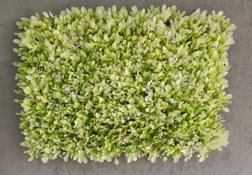 indoor Verticle Garden Fake Grass