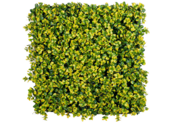 Affordable Premium Greenwall Garden Fake Grass