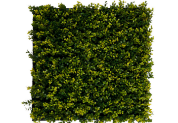 Affordable Premium Greenwall Garden Fake Grass