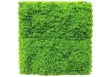 Affordable Premium Greenwall Garden Fake Grass